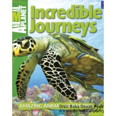 Animal Planet: Incredible Journeys